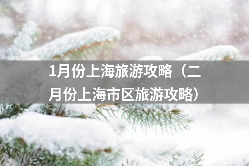 1月份上海旅游攻略（二月份上海市区旅游攻略）